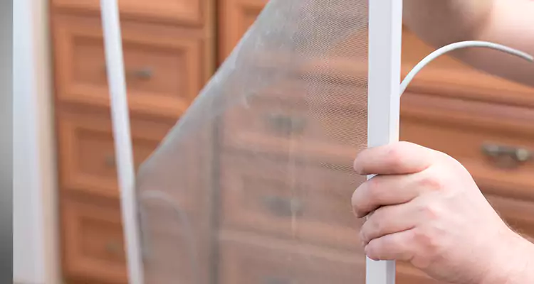 Privacy Mesh Screen Door Installation in Lafayette, CA
