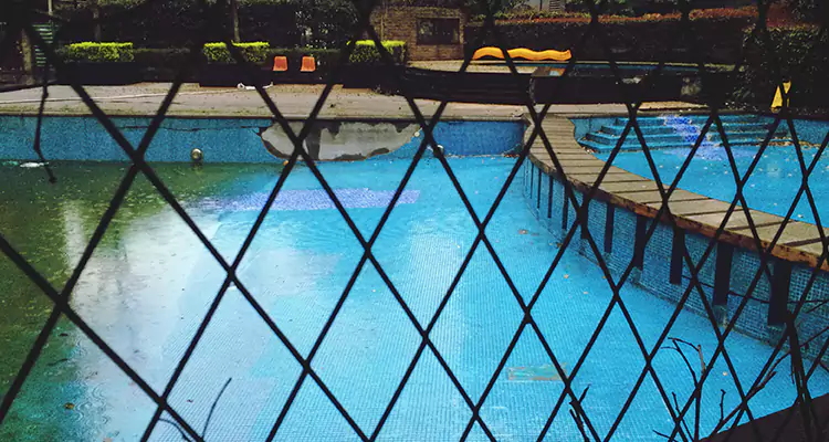 Lanai Screen Repair in Lafayette, CA