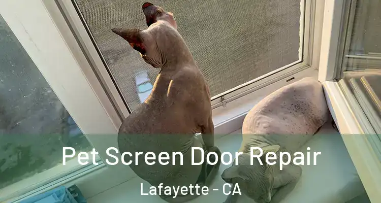  Pet Screen Door Repair Lafayette - CA